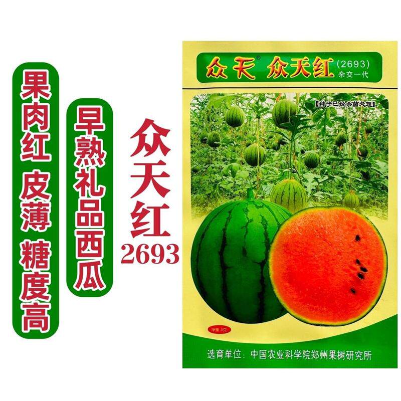 果树研究所西瓜种子众天红2693礼品西瓜种子特甜小果型西瓜果肉红