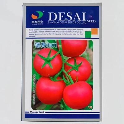 德赛粉红番茄种子荷兰引近品种无限生长硬度高抗病抗旱春夏秋季播