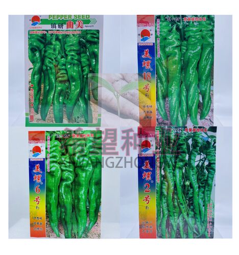 镇研辣椒种子美螺2号6号18号曲美螺丝椒种籽早熟味香辣春秋季薄皮