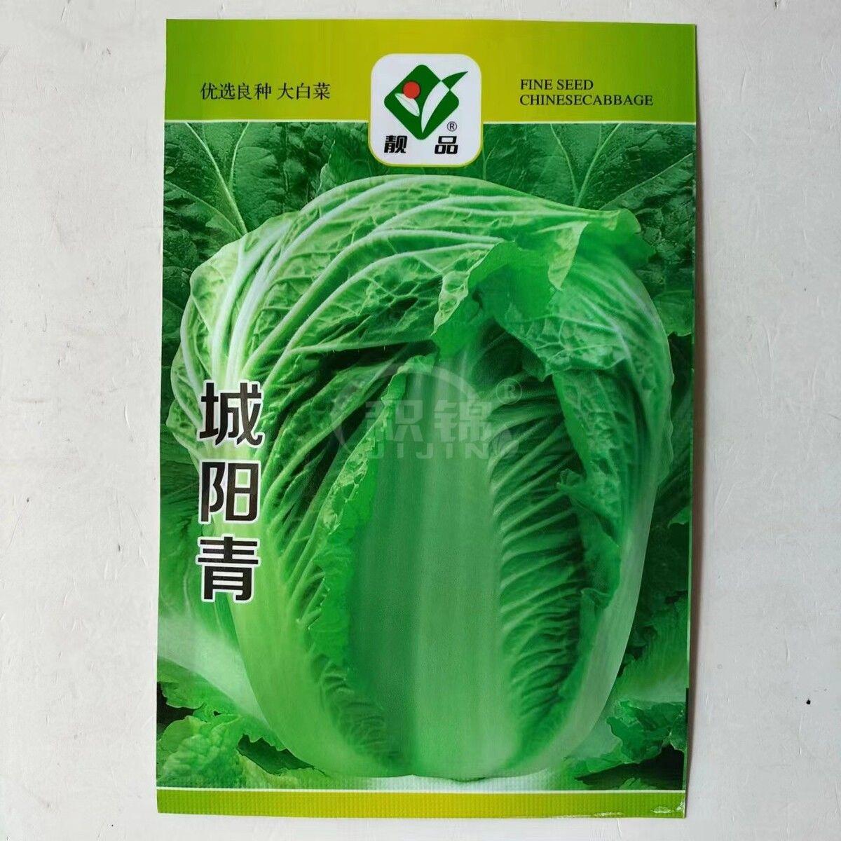 城阳青大白菜种子高产抗病叶柄绿色优质白菜种籽农家菜园秋播菜种