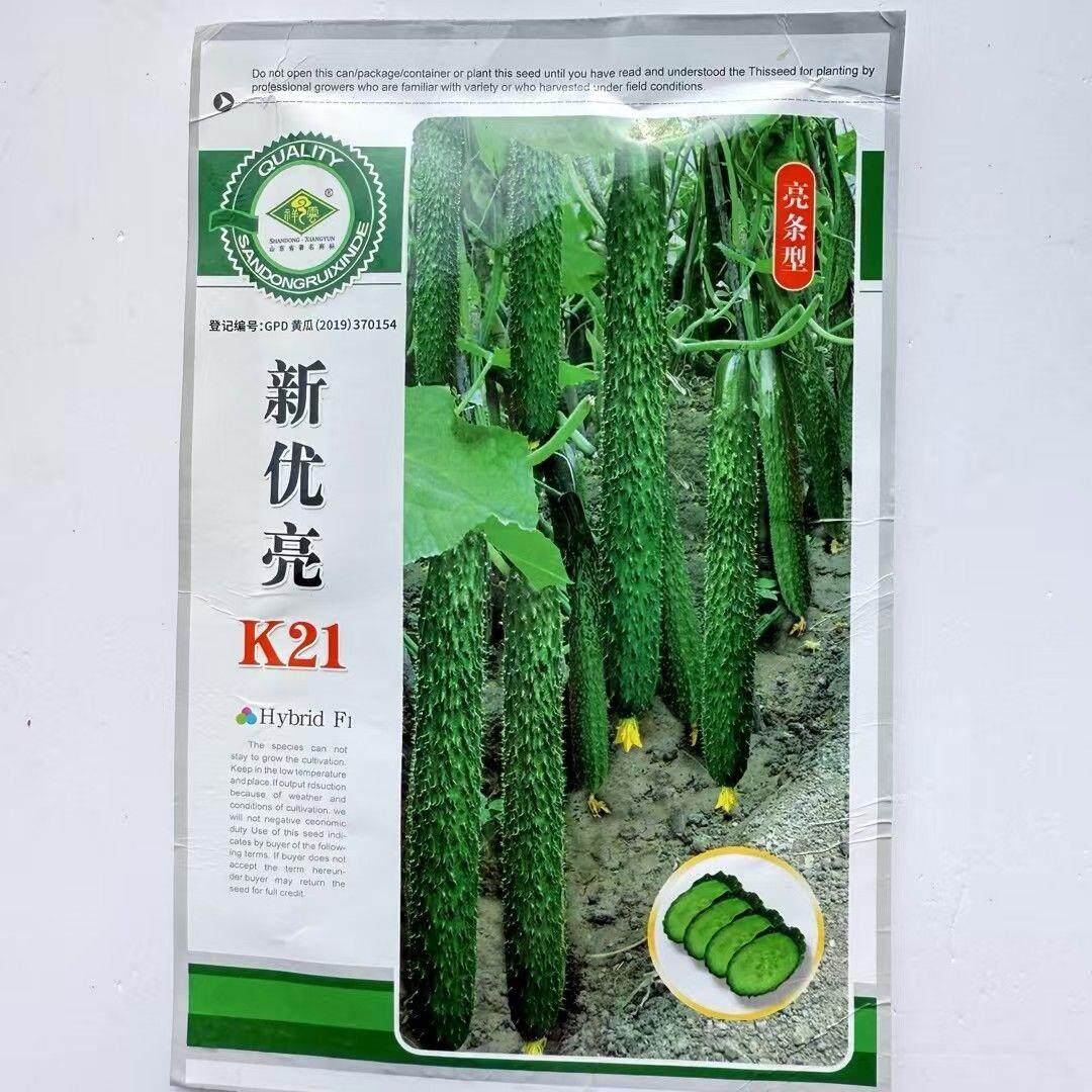 新优亮K21黄瓜种子短把瓜色亮绿顺直有光泽腔小浅绿肉抗病春秋播