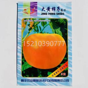 大黄西红柿种子黄色大番茄栽籽早种熟无抗病高产适宜南北露RGF地