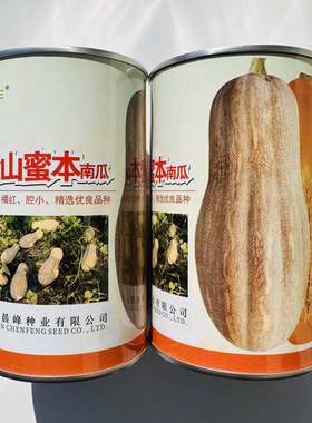海南晨丰金山蜜本南瓜种子易坐果抗病强肉厚腔小正品罐装50克LT