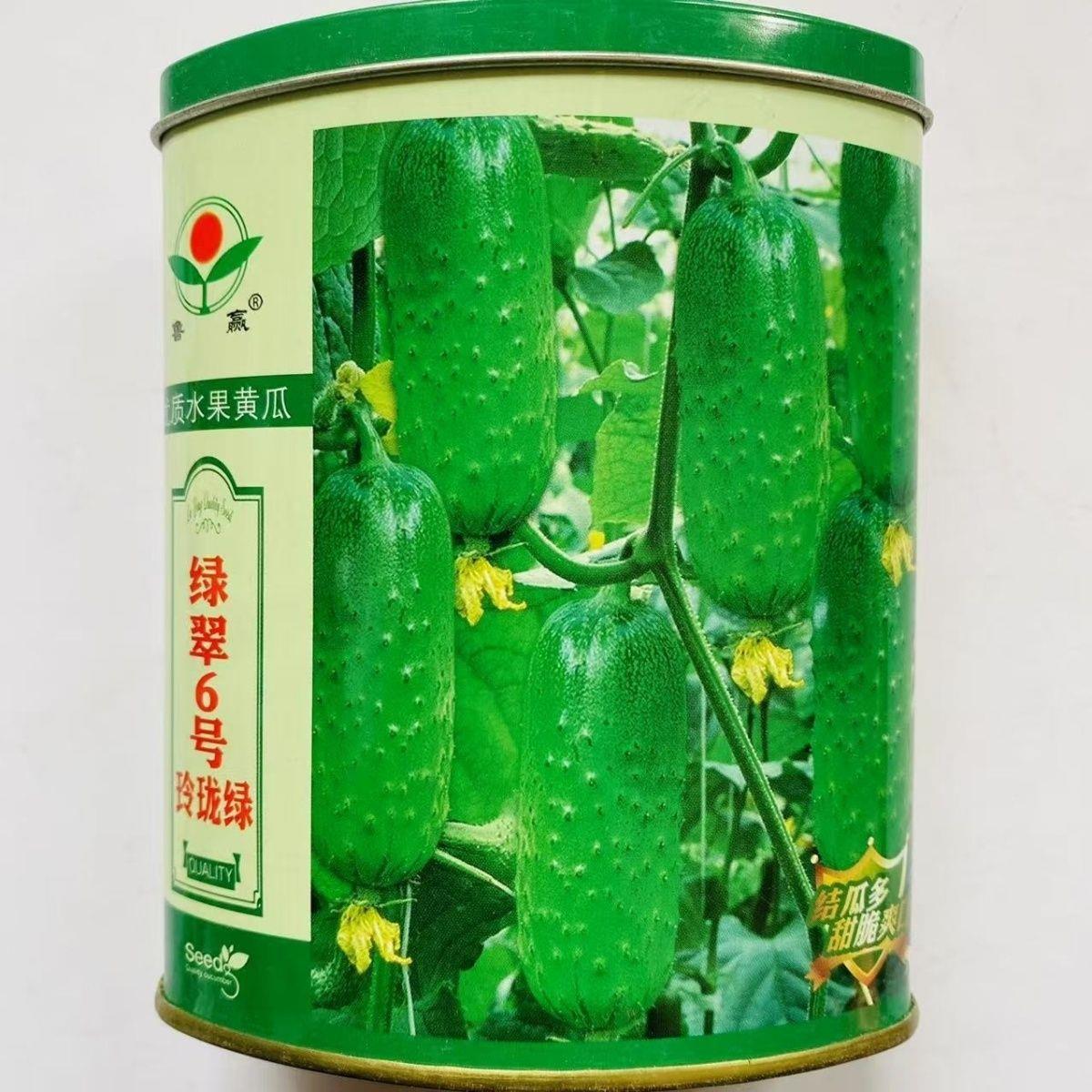 绿翠6号玲珑绿水果黄瓜种子早熟高产抗病抗寒质脆肉厚味甜绿黄瓜
