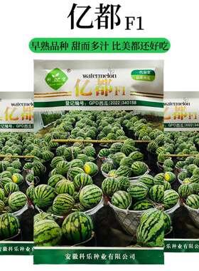 科乐亿都早熟甜而多汁早春大棚40天成熟比美都还好吃的西瓜种子LT