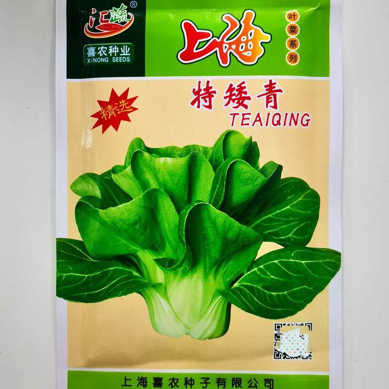 上海产特矮海青菜种子矮箕青菜耐cbl寒矮高软糯口感好上青脚青梗
