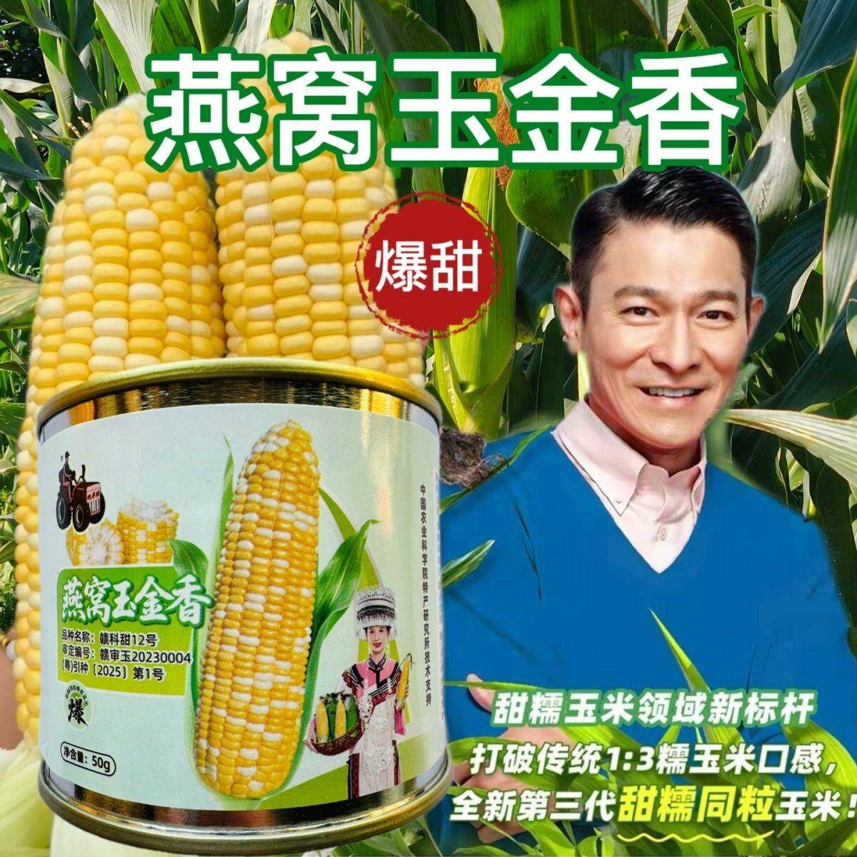 燕窝玉金香玉米种子首发5甜5糯全新第三代甜糯同体玉米种子籽
