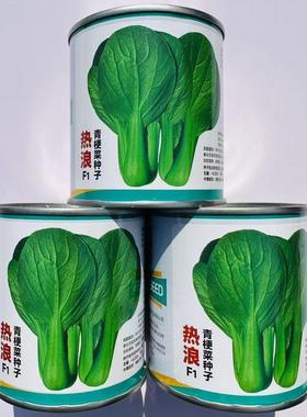 热浪杂交一代早熟青梗菜种子整齐束腰叶柄绿色肥厚耐热耐寒耐湿