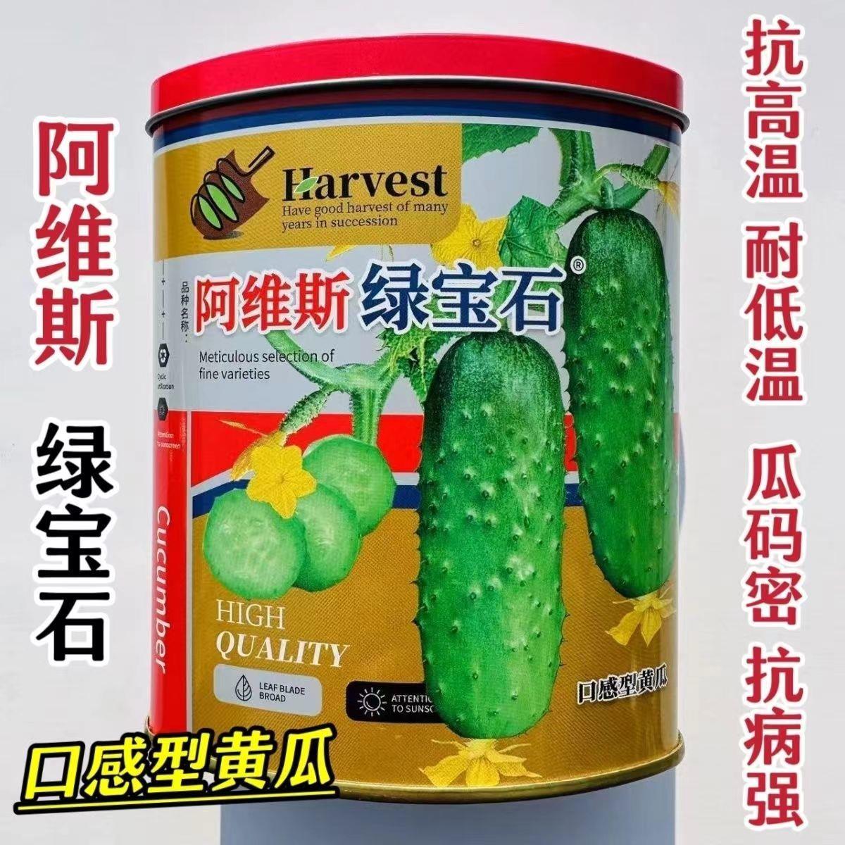 阿维斯绿宝石黄瓜种子口感型短棒水果黄瓜种子甜脆嫩庭院阳台蔬菜