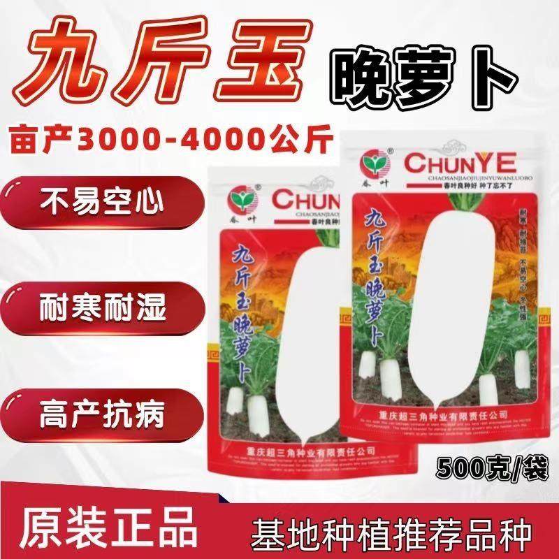 超三角九斤玉萝卜种子特大白萝卜九斤王萝卜种子秋季耐寒蔬菜种籽