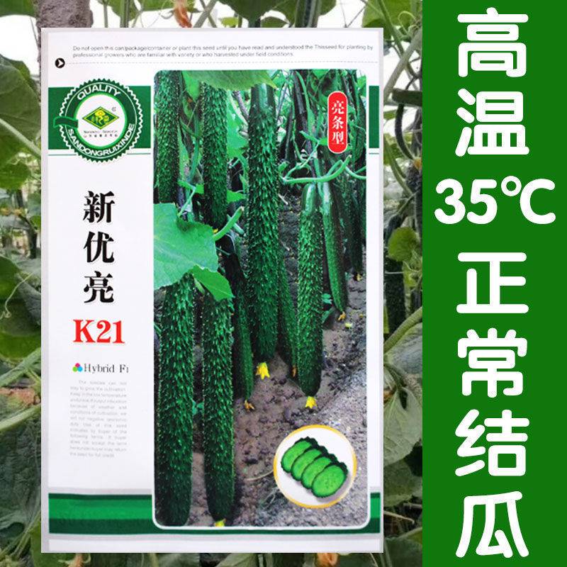 新优亮黄瓜种子绿芯黄瓜种籽耐高温黄瓜籽四季高产节节瓜蔬菜种孑