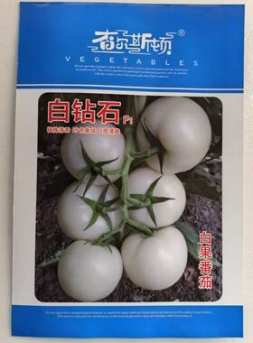 白钻石白果番茄种子大果白色西红柿种籽春季秋季四季特色蔬菜种孑