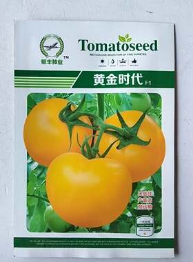 黄色番茄种子黄西红柿种籽早熟硬度高耐运输无限生长春大棚保护地