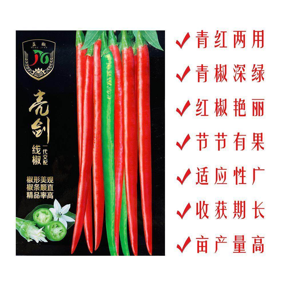 亮剑香辣线椒长线种子超长春秋早熟操守气场种籽高产线椒辣椒种籽