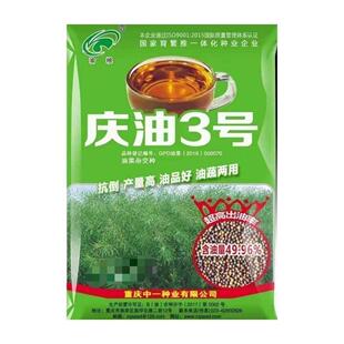 庆油3号油菜种子杂交油花籽出油高抗病不倒伏抗鸟害
