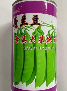 青岛大菜豌种子食荚菜碗豆荚荷兰豆豌豆花白色双生春秋播蔬菜种孑