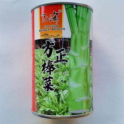 方正棒菜种子花叶棒菜笋子芥菜种子耐寒茎叶兼食重庆棒菜种籽菜种
