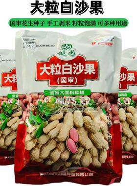 大粒白沙果花生种籽大果超高产花生种子春季夏原种净子农科院研制