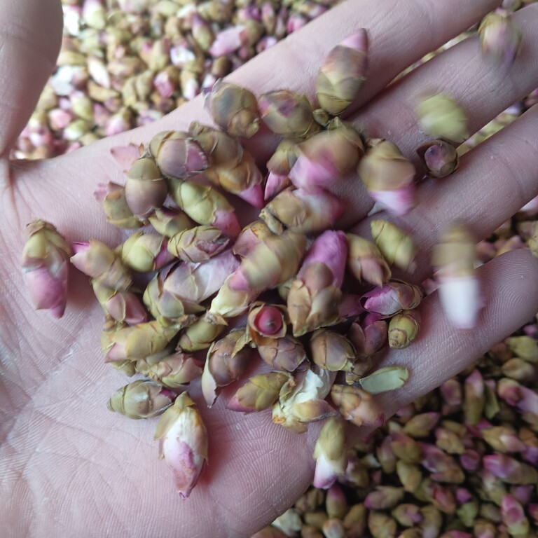 无硫山桃花 500克包邮干桃花苞新鲜干花 山桃花 泡水