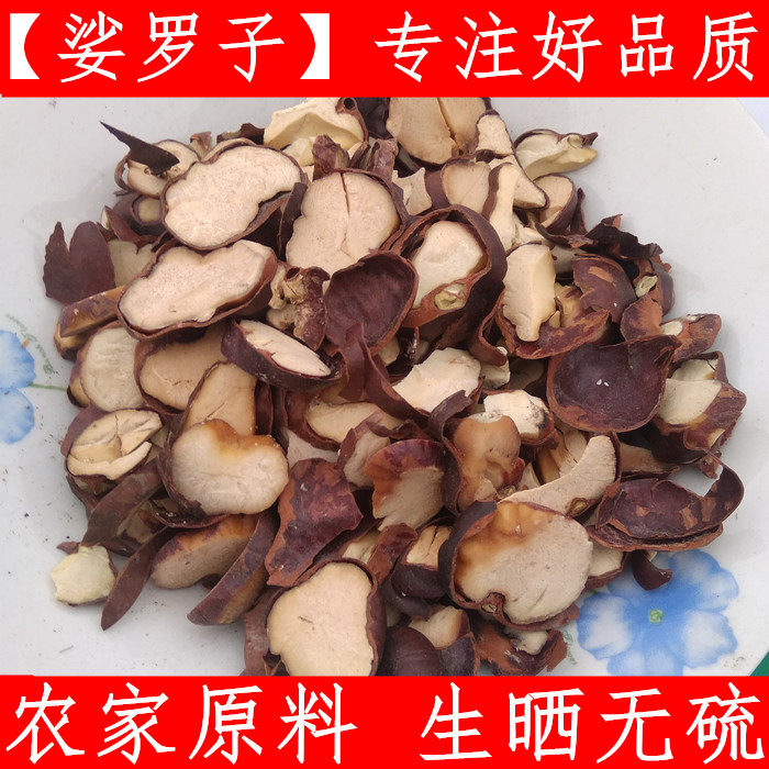广西娑罗子片 中药材索罗果 促销小籽娑罗子纯净货包邮新货
