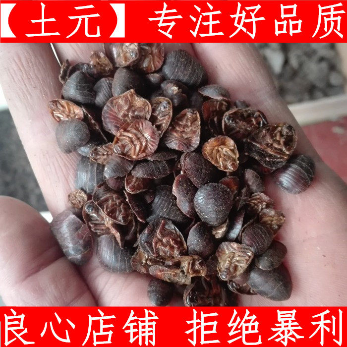 土鳖虫中药材包邮新鲜