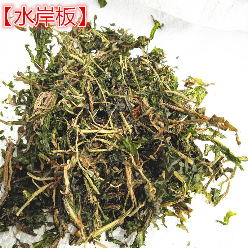 水案板 扫尔得 木眼子 菜鸭子草水案板水上漂野生 中药材水岸板
