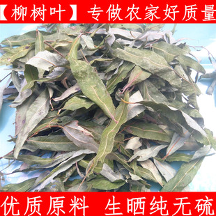 柳树叶 中药材500克包邮 新鲜新货柳芽柳叶茶生晒纯无硫柳树枝片