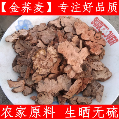 金荞麦新鲜中药材