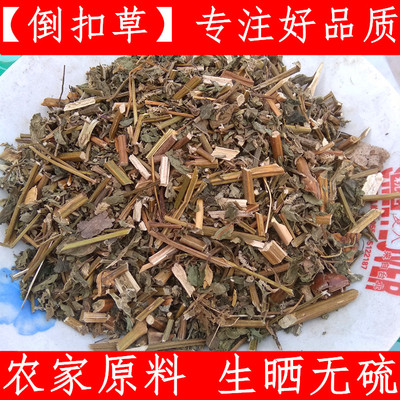 倒扣草 中药材牛舌大黄 土牛膝 倒钩草 牛膝头 土牛七 500克新货