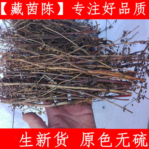 藏茵陈中药材 500克包邮 西藏正宗藏茵陈茶 生晒 支持验货藏菌陈 - 封面