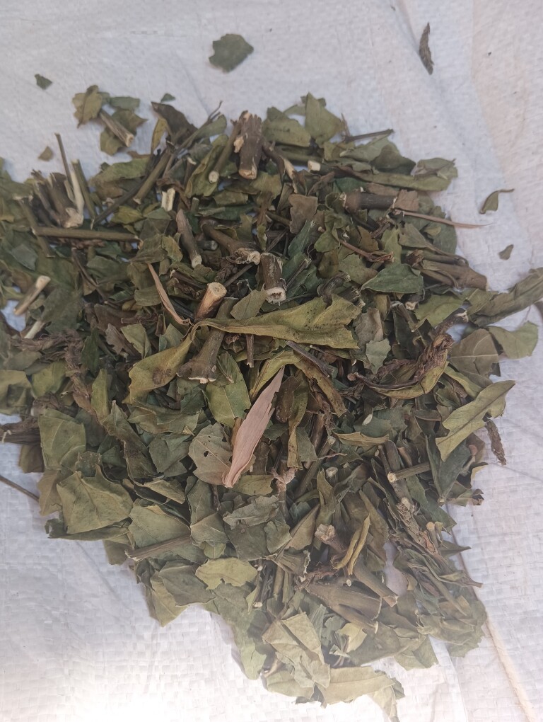 白子菜中药材白背三七 白东枫 玉枇杷 鸡菜 白番苋 白红菜500克