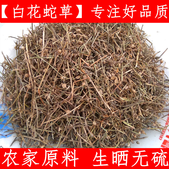 白花蛇舌草 舌草 中药材百花蛇草500克厂家直销非残次品冒充