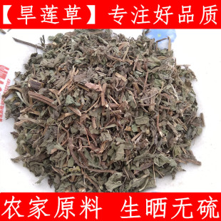 新鲜中药材墨旱莲 旱墨莲 旱莲草 墨水草 乌心草500克 现磨旱莲粉