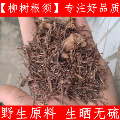 中药材柳树根 杨柳须 水柳须红龙须 青龙须农家原料无硫500克