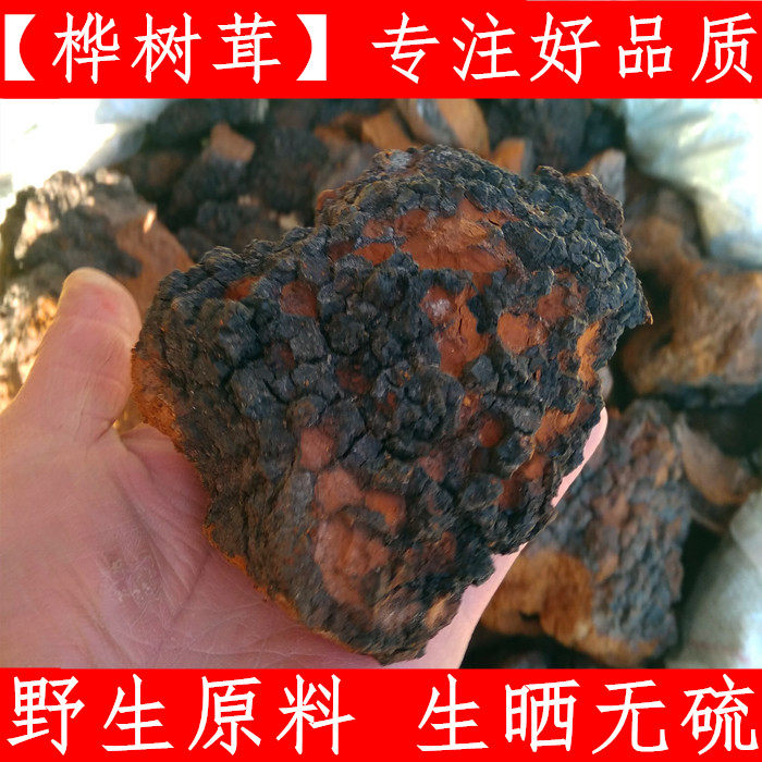 西藏桦树泪中药材