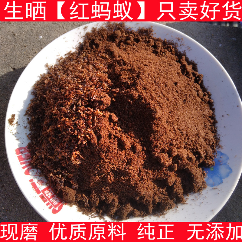 蚂蚁粉 中药材红蚂蚁粉 红蚂蚁另售黑蚂蚁250克生晒原料