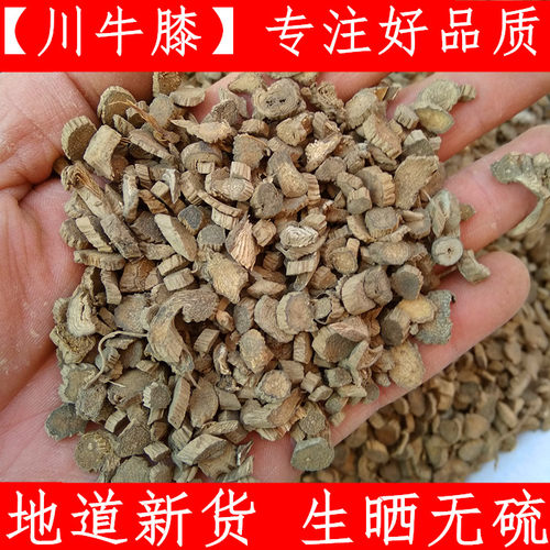 牛膝材四川川牛膝牛膝 500克小店另售怀牛膝