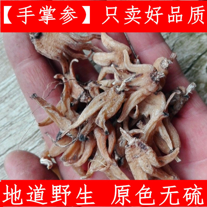手掌参 中药材新款西藏正宗手参 掌参 手儿500克生晒原料 佛手参