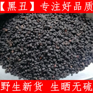 炒黑丑 白丑粉中药材黑丑粉 牵牛子 新货上市  二丑 农家原料