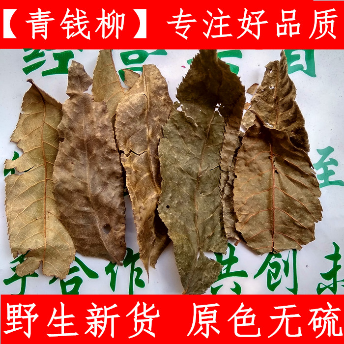 青钱柳优质青钱柳原叶老树柳叶钱青柳500克新鲜干货生晒无硫