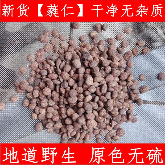 蕤仁 芮仁 中药材蕤仁 蕤核材 蕤子 棫仁美仁子500克新鲜干货