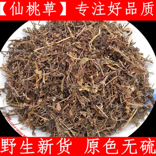 仙桃草 中药材仙桃草 蚊母草八卦仙桃 仙境草 500克 干净无杂质