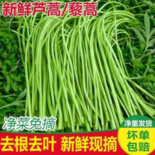 新鲜芦蒿当季蔬菜净菜去叶农家黎蒿篱蒿藜蒿嫩泥蒿蓠蒿漓