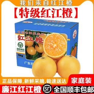 【顺丰包邮】湛江特产正宗廉江红江橙红橙红江农场皮薄甜橙礼盒