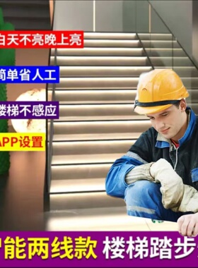 楼梯踏步感应灯自建房复式楼踏步台阶灯二合一控制器分控模块芯片