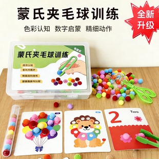蒙氏夹毛球早教教具儿童3到6岁认知启蒙幼儿园益智专注力训练玩具