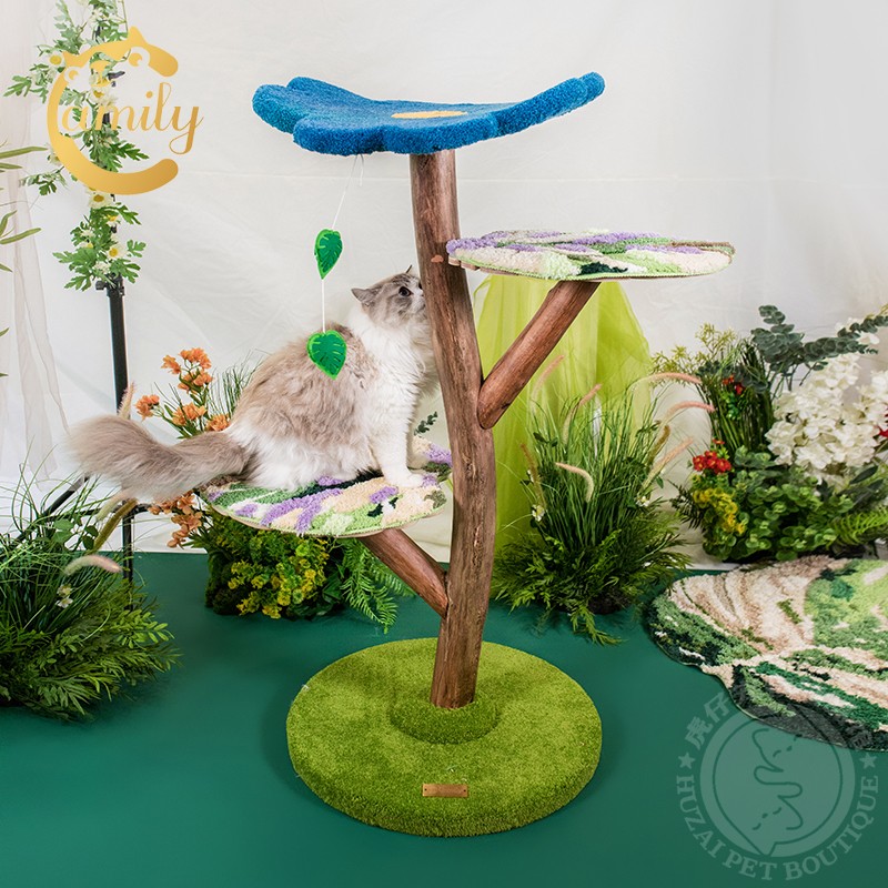 龟背竹猫爬架猫架子猫抓柱