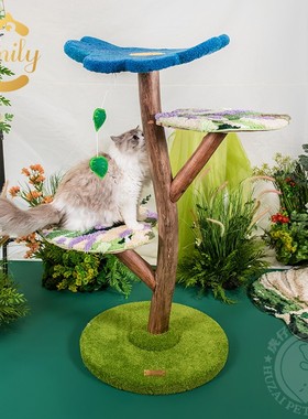 Camily龟背竹猫爬架猫架子猫窝猫抓板立式磨爪猫玩具跳台宠物用品