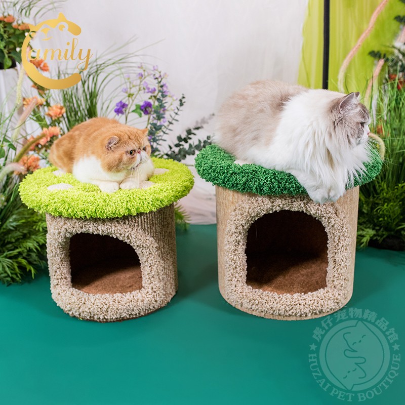 太阳花墩墩蘑菇墩墩猫爬架猫窝