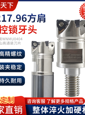 R217.96快进给立铣刀杆刀盘锁牙头装WNMU0404双面六角数控刀片YKP